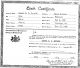 Birth Certificate of Samuel W. D. Brindle