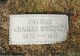 Grave Marker of Charles Whelpley